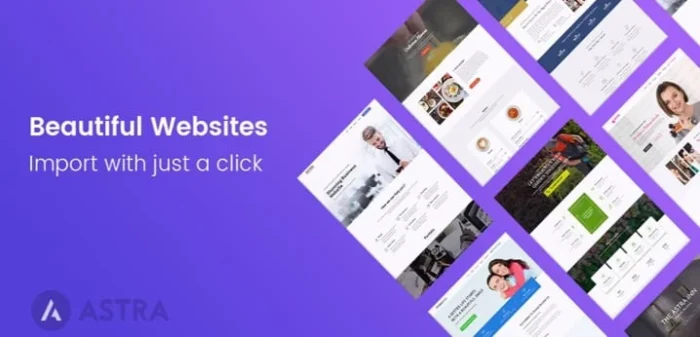 Astra Pro WordPress Plugin 4.11.5 - Image 2