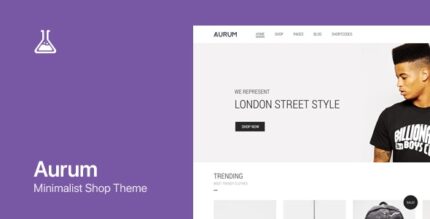 Aurum WordPress & WooCommerce Shopping Theme