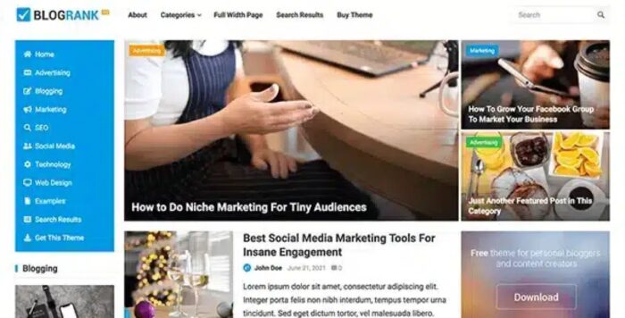 BlogRank Pro Theme 1.0.3 - Image 1