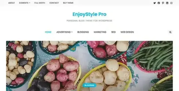 EnjoyStyle Pro Theme 1.0.4 - Image 1