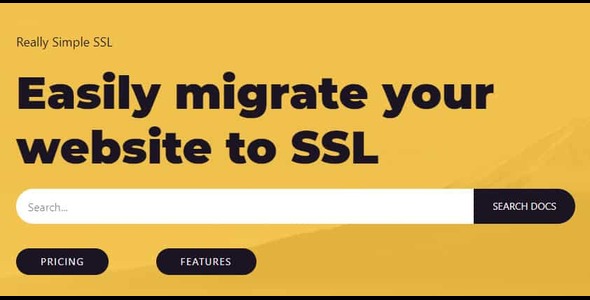 Really Simple SSL Pro